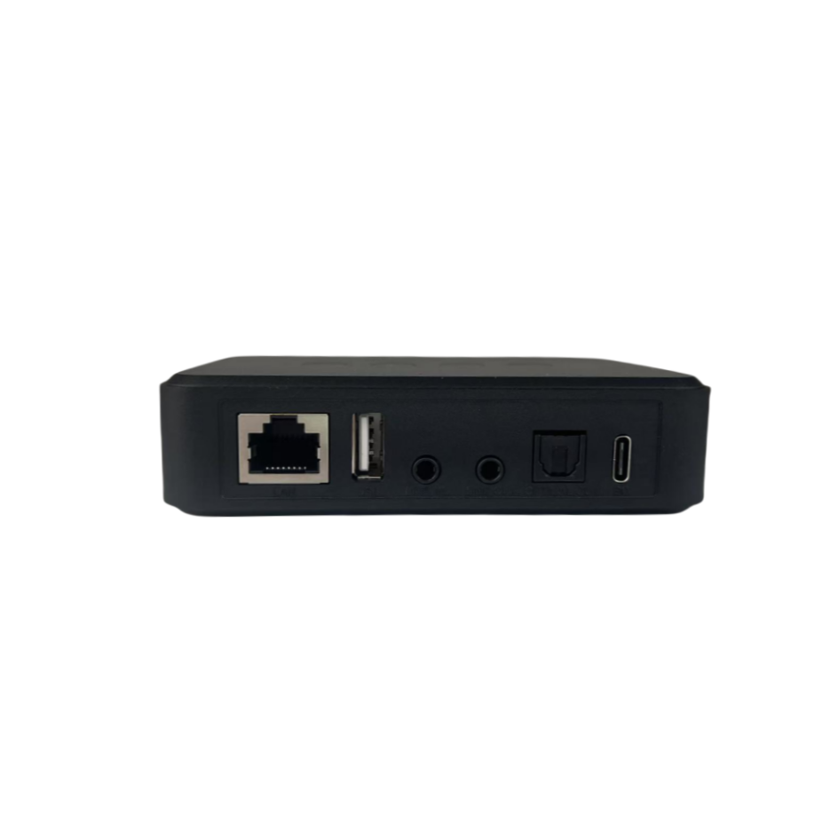 Arylic LP10 WiFi Bluetooth 5.0 - Audio Music Google recension och pris